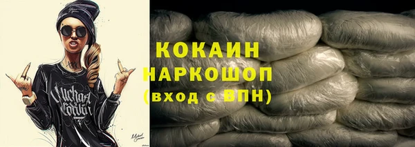 гашик Ельня
