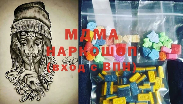 гашик Ельня