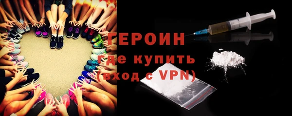 гашик Ельня