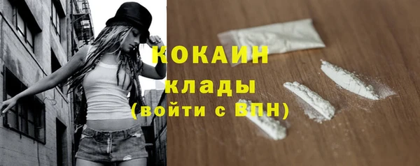 гидра Елизово