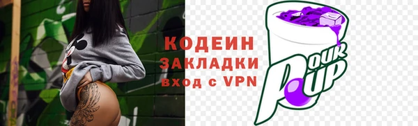 гашик Ельня