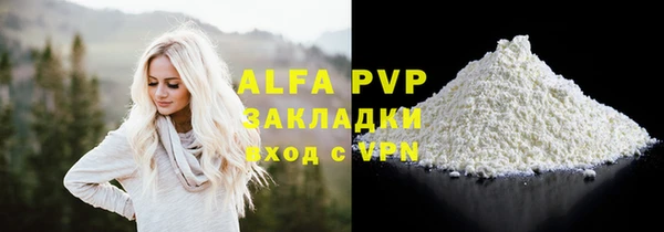 гидра Елизово
