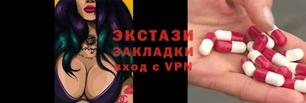 гашик Ельня