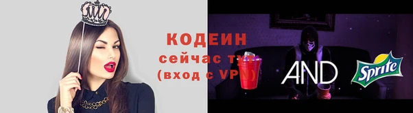 соль ск Елабуга