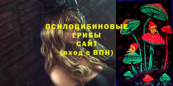 гашик Ельня