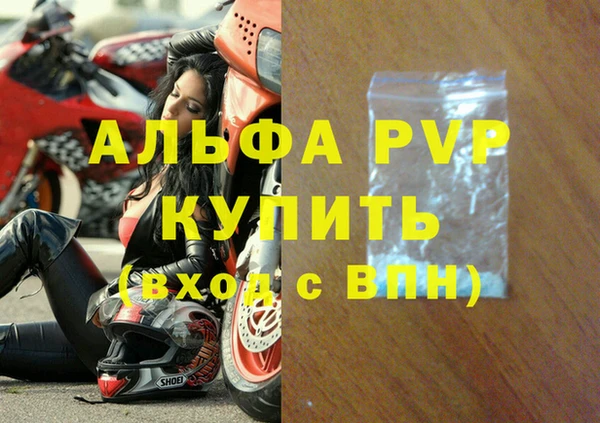 гашик Ельня