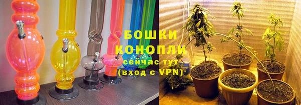 соль ск Елабуга