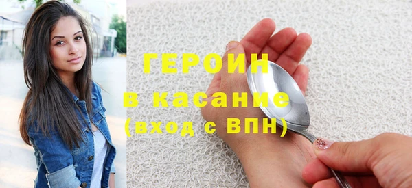 гашик Ельня