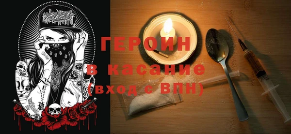гашик Ельня