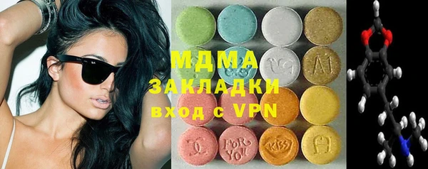 гашик Ельня