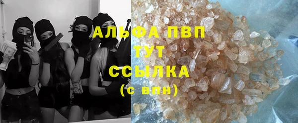 гашик Ельня