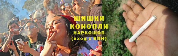 гашик Ельня