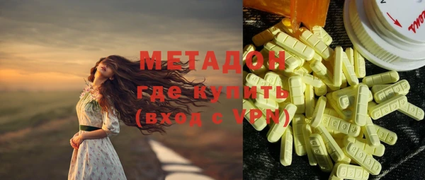 гидра Елизово