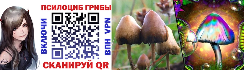 Псилоцибиновые грибы Magic Shrooms  цена наркотик  Райчихинск 